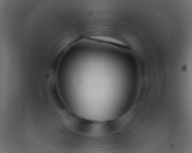 X0000093090172200710101525