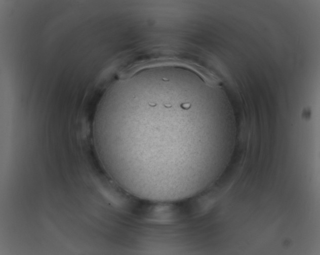 X0000093090173200710101525