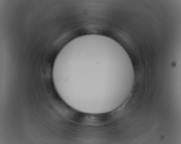 X0000093090174200710101525