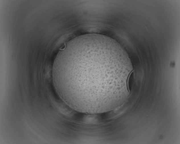 X0000093090175200710101525