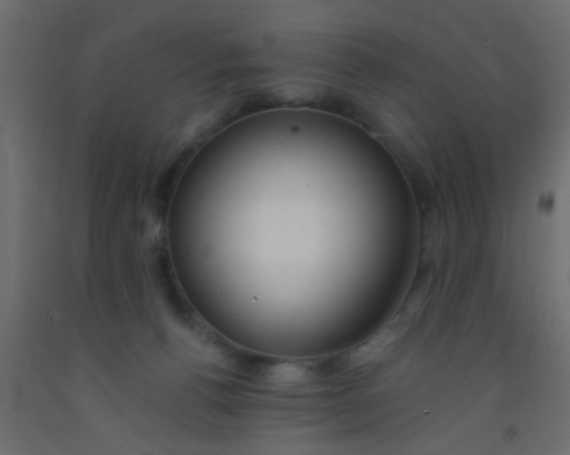 X0000093090176200710101525