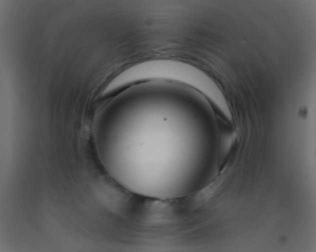 X0000093090180200710101525