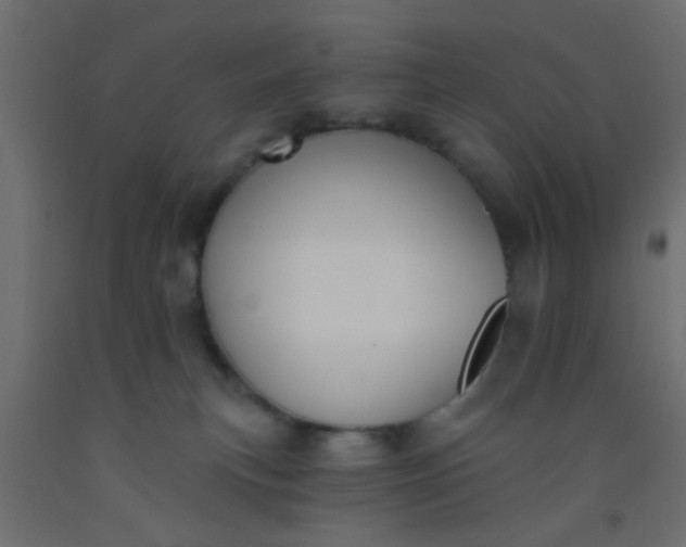 X0000093090183200710101525