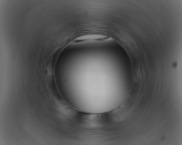 X0000093090184200710101525