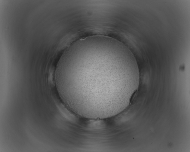 X0000093090185200710101525