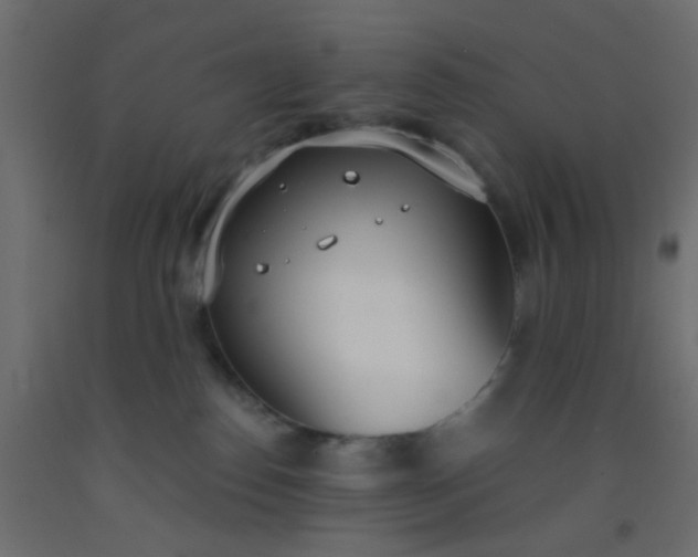 X0000093090186200710101525