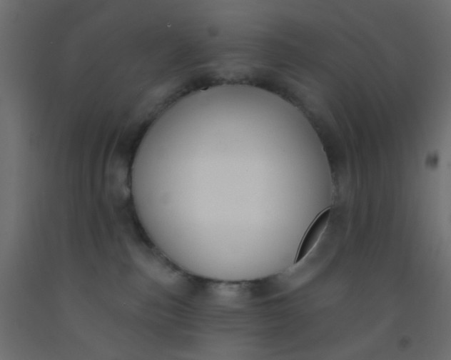 X0000093090187200710101525