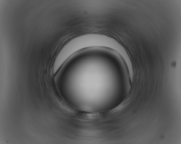 X0000093090188200710101525