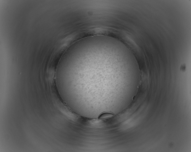 X0000093090189200710101525