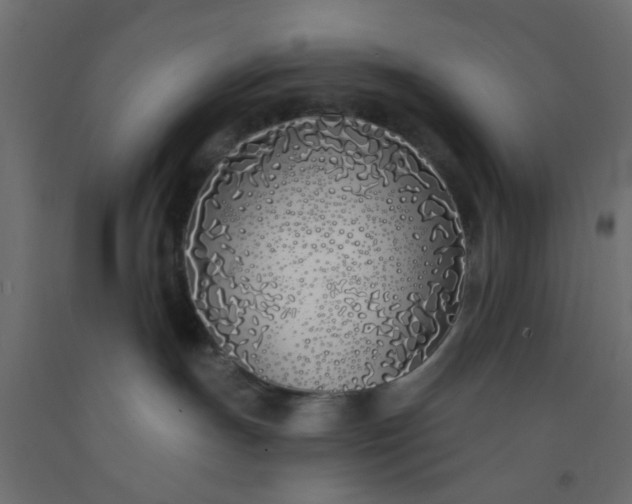 X0000093090191200710101525