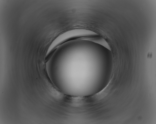 X0000093090192200710101525