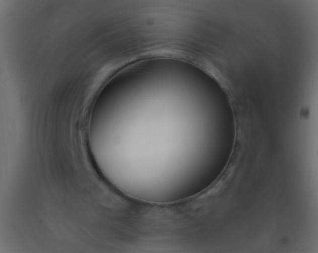 X0000093090193200710101524