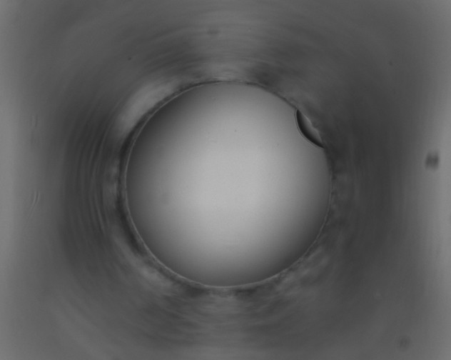 X0000093090194200710101524