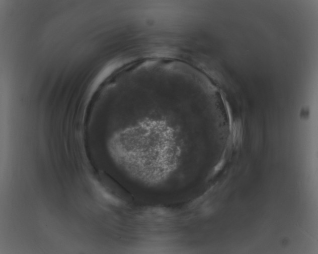 X0000093090195200710101524