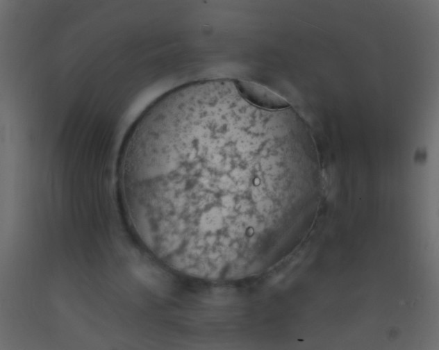 X0000093090196200710101524