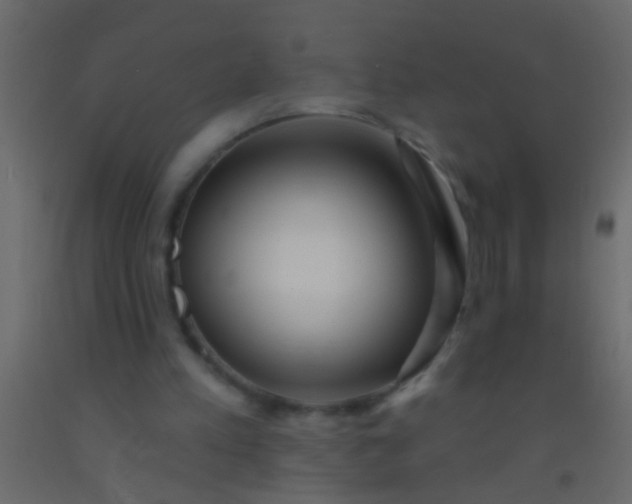 X0000093090197200710101524