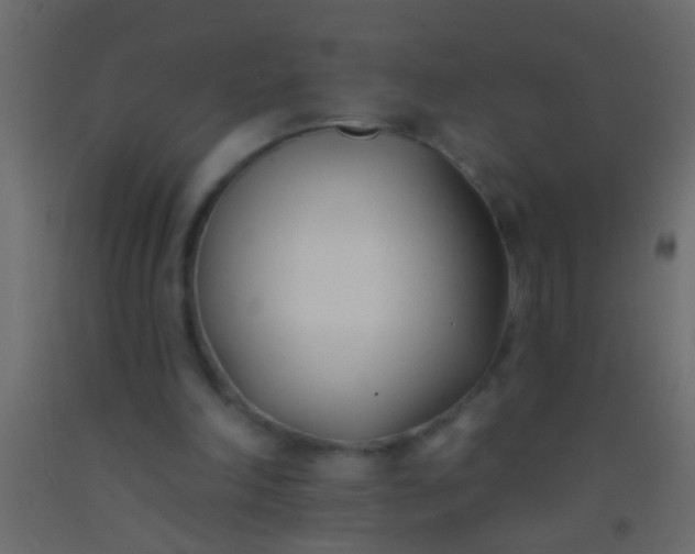 X0000093090198200710101524