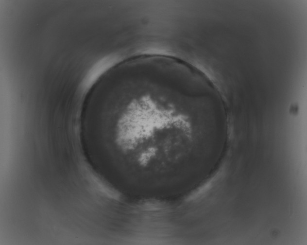 X0000093090199200710101524