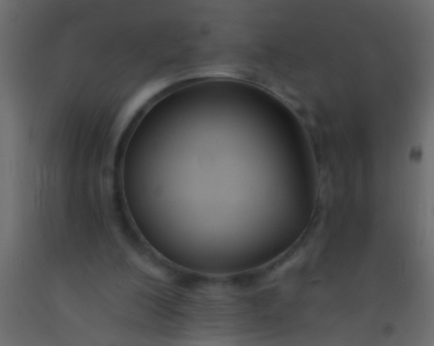 X0000093090200200710101524