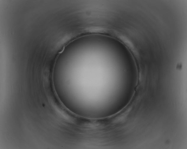 X0000093090201200710101524