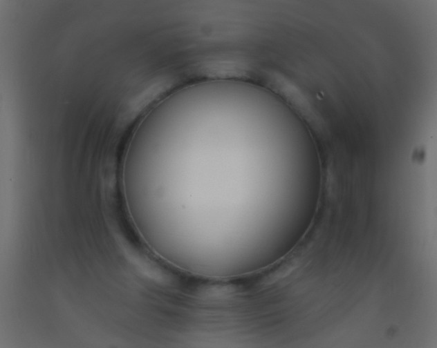 X0000093090202200710101524