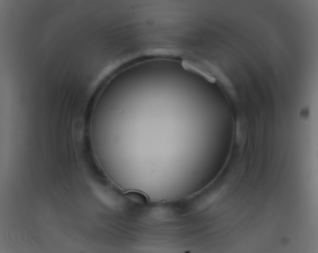 X0000093090204200710101524