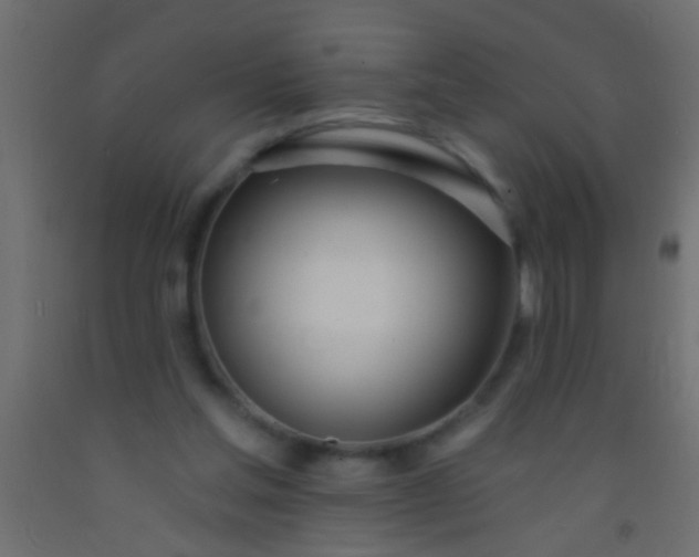 X0000093090205200710101524