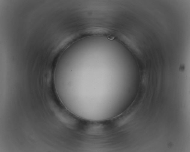 X0000093090206200710101524