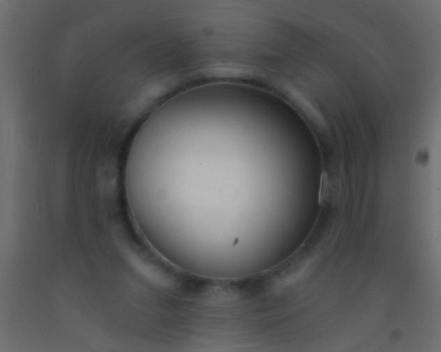 X0000093090207200710101524