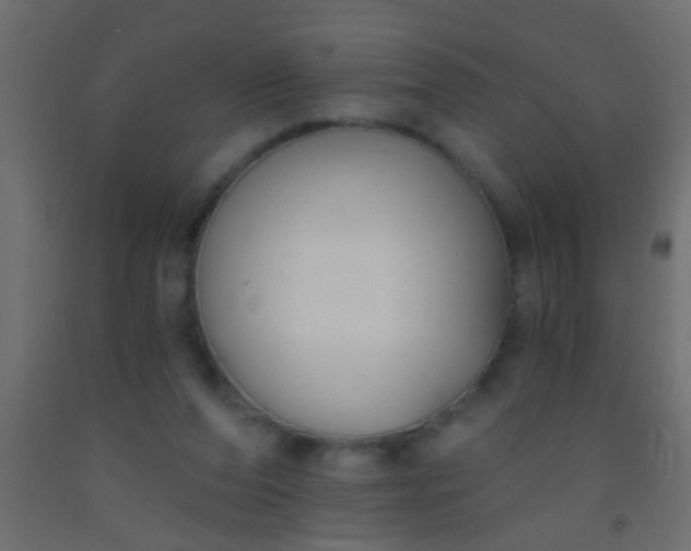 X0000093090208200710101524