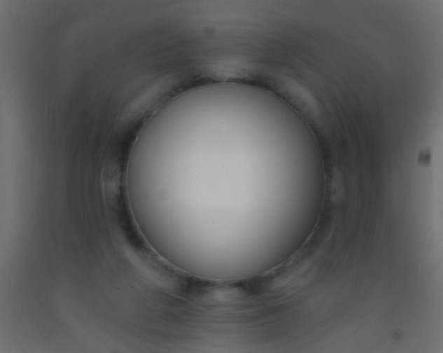 X0000093090210200710101524