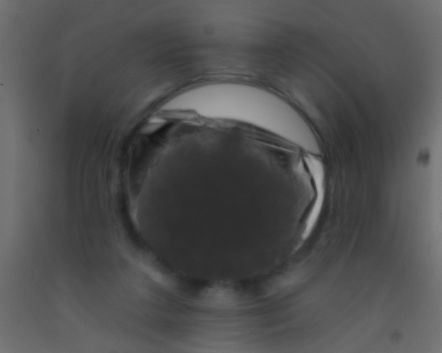 X0000093090211200710101524