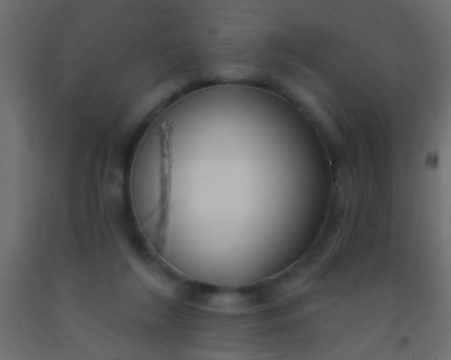 X0000093090212200710101524