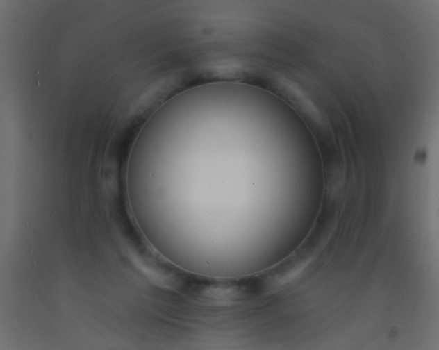 X0000093090213200710101524