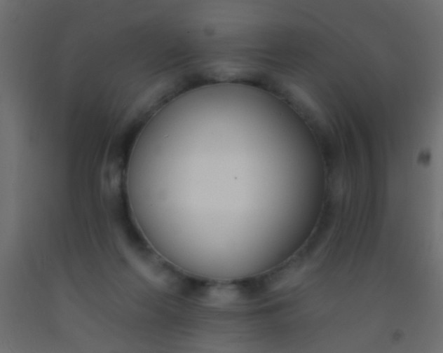 X0000093090214200710101524