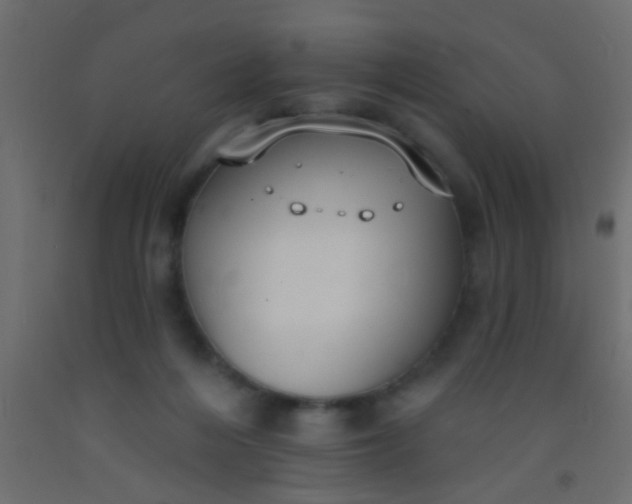 X0000093090216200710101524