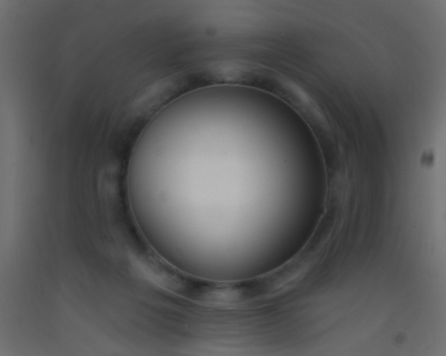 X0000093090217200710101524