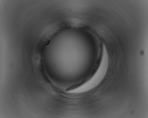 X0000093090219200710101524