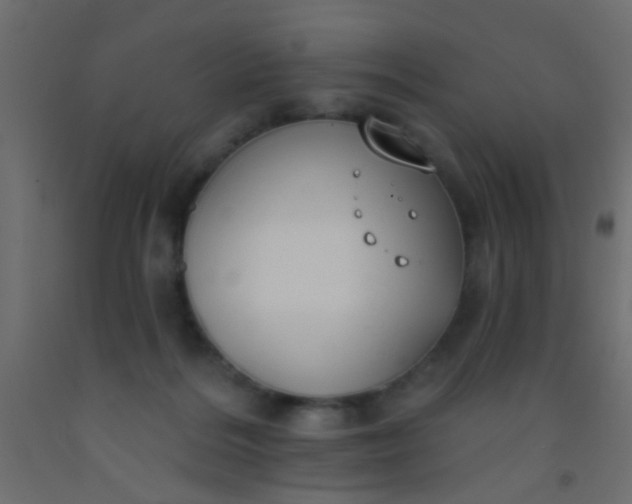 X0000093090220200710101524