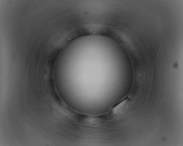 X0000093090221200710101524