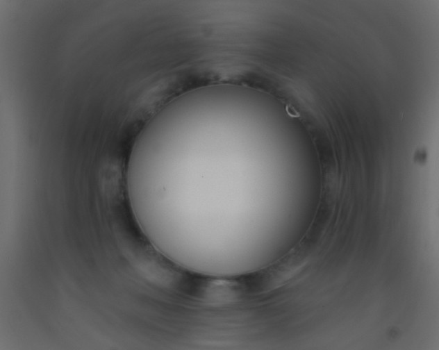 X0000093090222200710101524