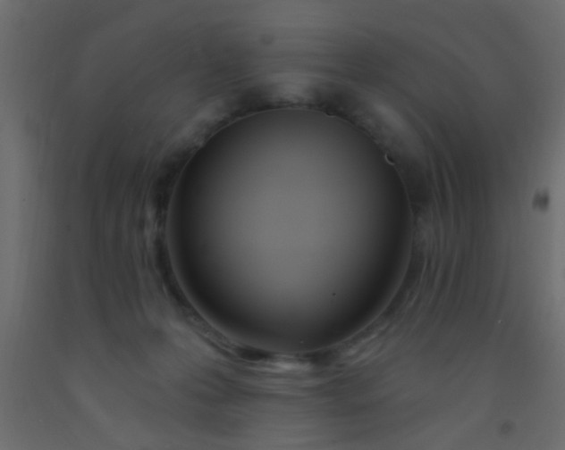 X0000093090223200710101524