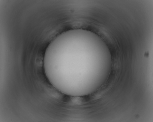 X0000093090226200710101524