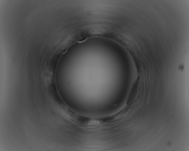 X0000093090227200710101524