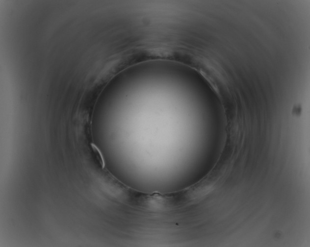 X0000093090229200710101524