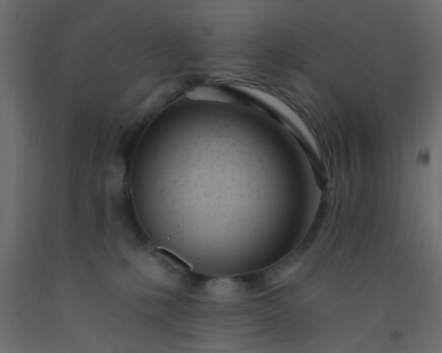 X0000093090231200710101524