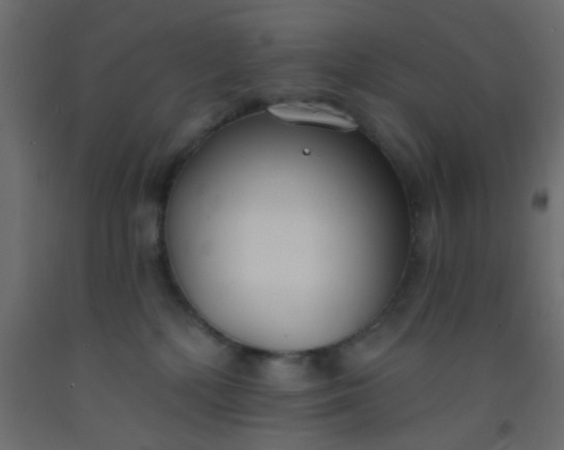 X0000093090232200710101524