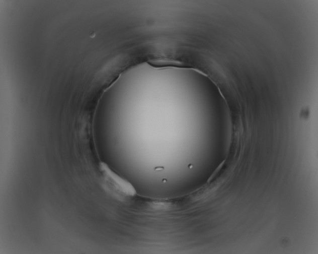 X0000093090233200710101524