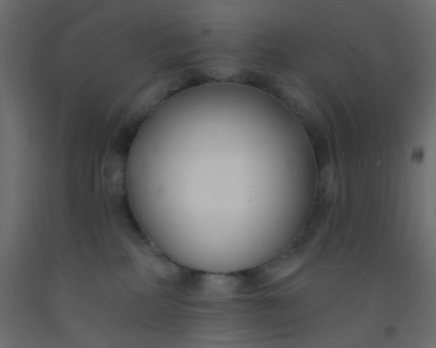 X0000093090234200710101524