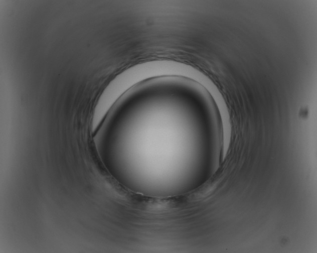 X0000093090235200710101524